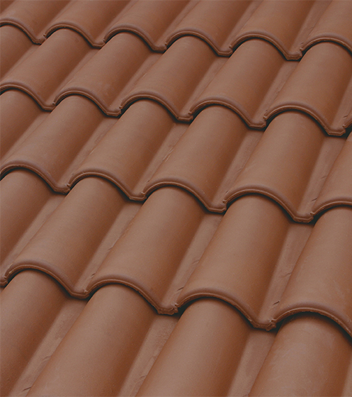 TM11   Marron   Brown   Marron