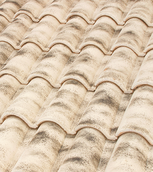 TM11   Paja Envejecida   Aged Straw   Paille Vieilli