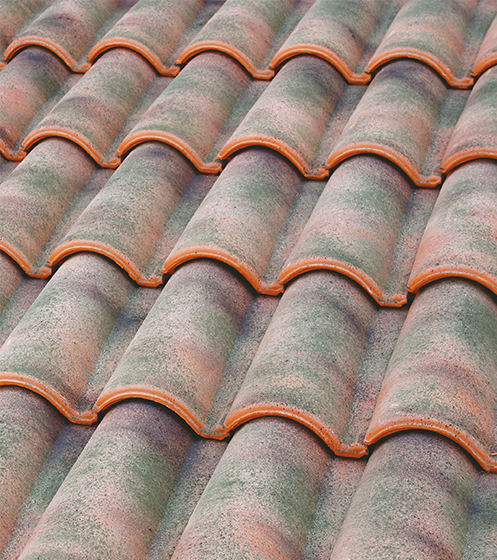 TM11   Rustica   Rustic   Rustique